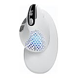 DELUX Vertikale Maus, ergonomische kabellose Maus, OLED-Display, Dual BT5.0 und 2.4G, wiederaufladbare optische PC-Maus, Smart Sensor RGB-Licht, magnetische Rückseite und Handballenauflage (White)