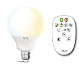 LED iDual Whites G100 E27 1055lm weiss - warmweiss Fernbedienung