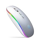 Inphic LED Bluetooth Maus, Wiederaufladbare Stille Kabellose Maus Dual-Modus (BT 5.1 + 2.4G USB) Mit Home-Taste, Tragbare Optische Kabellose Computermäuse Für Laptop Pc Desktop Mac Fenster, Silb