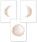 Lemmami Papeterie 3er Set Poster Wandbilder Mondphasen Pampas-Gras Boho Deko Bilder DIN A4 Wohnzimmer Schlafzimmer Dekoration (3er Bilder Set beige, Wanddeko)