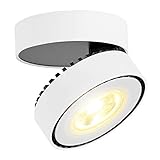 LANBOS 12W LED Aufbauleuchte Deckenleuchte/Deckenspots, Deckenfluter, Deckenstrahler, Decken-Lampe, Wand-Lampe/10x10x6CM/ COB Lampe/ 3000K Warmweiß/Aluminium (Weiß+warmweiß)