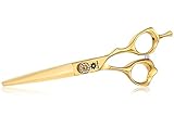 Dream Reach Haarschere Friseurschere Scharfe Haarschneideschere Japanischer Edelstahl 440C Handarbeit Premium Extra scharf Perfekter Haarschnitt für Damen und Herren Bestes Geschenk G