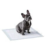 Amazon Basics Puppy Pads Trainingsunterlagen für Welpen, Standardgröße, 50 Stück