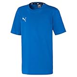 PUMA Jungen, teamGOAL 23 Casuals Tee Jr T-shirt, Electric Blue Lemonade, 164