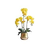 Künstliche gefälschte Blumen Künstliche Blumenorchidee 6 9 cm Große große gefälschte Blume in der Vase Seide Orchideen Phalaenopsis Anordnung mit Goldpflanzer for Raumbüro Tischkiefer (weiß) B