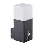 SSC-LUXon LED Außenwandleuchte Muvela IP44 mit Bewegungsmelder - mit OSRAM LED Birne E27 6W warmweiß - Wandlamp