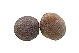 budawi® - Moqui Marbles Paar 20-25 mm lebende Steine männlich und weib