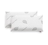Textilhome - 2 Einheiten KopfKissen 70cm - Kern aus 100% natürlichem Visco pur. Kissen aus druckausgleichendem Viskogelschaum (Memory Foam) mit Aloe Vera Bezug