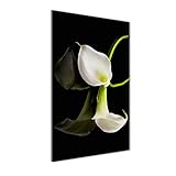 Tulup Glas-Bild Wandbild aus Glas - Wandkunst - Wandbild hinter gehärtetem Sicherheitsglas - Dekorative Wand für Küche & Wohnzimmer 60x120 - Blumen & Pflanzen - Weiße Calla - Weiß