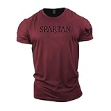 GYMTIER Spartan – Gym T-Shirt für Herren, Bodybuilding, Gewichtheben, Strongman, Trainings-Top, Aktivkleidung, Spartan, geschmiedet, kastanienbraun, XXL
