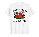 Komm schon Wales dewch ymlaen Cymru Wales Fan T-S
