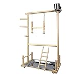 QCMYJM Vogelspielzeug Papageispielstände mit Tasse Toys Tablett Vogel Swing Klettern Hängende Leiterbrücke Holz Cashatiel Spielplatz Vogelperches Sittichspielzeug