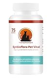 Vitalpfoten Synbioflora Pet Vital Probiotikum für Hunde und Katzen 75 gr. zuckerfreie pflanzliche Rezeptur für Darmsanierung und gute Verdauung gegen D