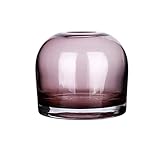 Vases Floristenwerkzeuge Klarglas, Einzelne Blume Kleine Flasche Mund Blumen Künstliche Blumen Wohnzimmer Schaufenster, Dick und Stable Getrocknete Schlüsselwö