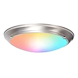 RGB Dimmbar LED Deckenleuchte 20W mit Fernbedienung, Smart WiFi Bluetooth Deckenlampe mit APP- Steuerung Kompatibel mit Alexa Google Home Wohnzimmerlampe für Schlafzimmer Kinderzimmer B