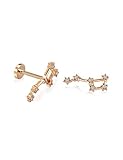 14K Massiv Gold Tierkreis Piercing Minimalistische Tragus Piercing Gold Stud Piercing Stud Ohrpiercing Kreis Ohrstecker Ohrring Tierkreis Piercing (6, 14 Karat (585) Weißgold)
