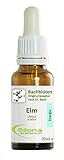 Joy Bachblüten, Essenz Nr. 11: Elm; 20ml Stockb