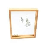 Offfay Getrockneter Blumen Probenrahmen, DIY Doppelseitiger Pflanzen Display Rahmen Desktop Holz getrocknetes Blatt Ornament Dekoration für Gepresste Blumen C