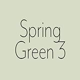 Wandfarbe Grün Capital Paint Latex Bunt Innenfarbe Strapazierfähig Spring Green 3 2,5 L