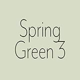 Wandfarbe Grün Capital Paint Latex Bunt Innenfarbe Strapazierfähig Spring Green 3 2,5 L