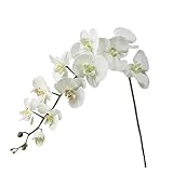 YANGJINR Künstliche Blume Seide Künstliche Schmetterlingsorchidee Künstliche Blume Blumenstrauß Phalaenopsis Gefälschte Blumen DIY. Home Hochzeit Dekor Handwerk Dekor (Color : WH)