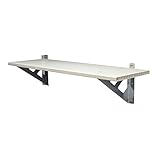 Palram Canopia SkyLight Shelf Gerätehäuser Zubehör, weiß, 30.5 x 84.7 x 22