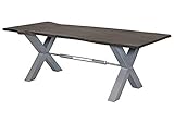 MASSIVMOEBEL24.DE Esstisch grau 180x100cm X-Beine Silber Iron Label #110
