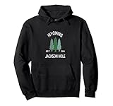 Retro Cooles Jackson Hole Wyoming Rocky Mountain Evergreen Pullover H