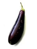 Magic Garden Seeds Auberginen 'Lange Violette' (Solanum melongena) 50 Samen Eierfrucht Melanzani Eierp