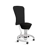 aeris Swopper Work New Edition Ergonomischer Hocker mit Rollen und Lehne – Dynamischer Bürostuhl nach DIN EN 1335 für einen gesunden Rücken – 42-56 cm Sitzhöhe, Federbein Low