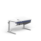 moll Winner Split Comfort, höhenverstellbarer Kinderschreibtisch mit geteilter Tischplatte für Jungen und Mädchen, stufenlose Schräg- und Höhenverstellung, 6 Akzentfarben, Dekor Weiß, 121cm x 71