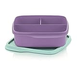 Tupperware to Go Lunchbox 550 ml Flieder lila Aqua türkis Mint mit Trennwand Clevere Pause S