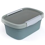 Rotho Clic Eco Frischhaltedose, lebensmittelechter Kunststoff (PP) BPA-frei, blau/transparent, 1.5l, 1,5l (22 x 15 x 9,6 cm)