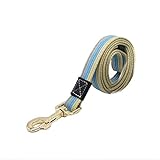 HLMJ Dicke Leinwand Haustier Hundeleine Halsband Einstellbar Set Hundeverfolgung Leine Kleine Mittelgroße Große Hundehalsbänder Retractable (Color : Blue Dog Leash, Size : M.)