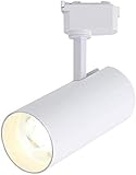 deckenlampe strahler Modern 2. 0w / 30W. Track-Beleuchtungs-Kit, Aluminium Deckenstrahler for Wohnzimmer Esszimmer Schlafzimmer Küche Korridor (Color : White, Size : 20W-White Light)