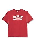 Southpole Herren Harlem Tee T-Shirt, Brick red, XXL