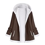 Darringls Plüschjacke Damen Übergangsjacke Winterjacke mit Kapuze Lang Fleecejacke Kapuzenpullover Hoodie Oversized Teddyfleece Jacke Herbst Plüschjacke funktionsjack