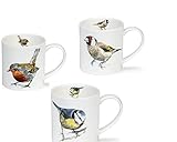 Dunoon Pottery Hannah Longmuir Design Garden Birds Kaffee- / Teetassen-Set, feines Knochenporzellan, Rotkehlchen Rotbrust, Blaumeise, Goldfinch – 3-9 cm / 300