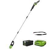 Greenworks Pro 80 V 25 cm Bürstenloser Akku-Hochentaster, Kettengeschwindigkeit 10,5 m/s, Max. Werkzeuglänge 2,8 m, Automatische Schmierung (mit 2 Ah Akku und Ladegerät)