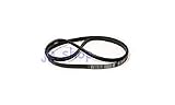 Keilrippenriemen AEG 132353100/2 1200PJ5E elastisch für W