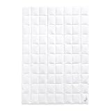 Daunenkönig Delisa Sommerbettdecke - 100 % Neue echte Daunen - extra feine, leichte Daunenbettdecke für den Sommer - 135 x 200 cm - Einzelbettdeck