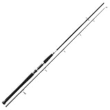 Daiwa Megaforce Pilk 2tlg. 150-300g 2.40