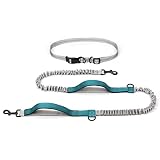 Joggingleine für Hunde, 2 in 1 einziehbare Bungee Freihandleine, Bauchgurt Hundeleine mit Reflektierenden Nähten für kleine, mittelgroße Hunde, Training, Gehen, Joggen, L