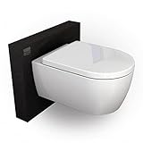 Spülrandloses Wand-WC NT2039 mit SoftClose-Deckel (Absenkautomatik), Toilette aus Sanitärkeramik mit abnehmbareren WC-Sitz, Tiefspül-WC, D-Form – Hänge-WC mit Standard-Deck