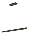 Trio Leuchten LED-Pendelleuchte Ramiro in schwarz matt, innen goldfarbig 376410402