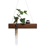 SPRINGHUA. Black Walnut Holz Glas Reagenzglas Wandvase hydroponischen Pflanze Blumentopf handgemachte Jardiniere Wohnkultur Ornament Anhänger Stil 6