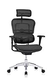 hjh OFFICE 652425 Profi Chefsessel ERGOHUMAN EDITION Netzstoff Schwarz Bürostuhl Drehstuhl ergonomisch mit Vollausstattung