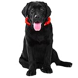 Leuchthalsband Hund, Hundehalsband Leuchtend, Sicherheit Halsband LED Hundehalsband Leuchtend USB Wiederaufladbar, 3 Modus für Klein Mittlere Große Hunde Katzen fur N