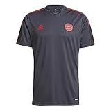 adidas FC Bayern München Trainings Trikot (L, Grey, l)