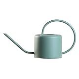 HGJINFANF Gießkanne Große Kapazität 1l Terrasse Gartenarbeit Werkzeuge Ergonomisches Indoor Outdoor-Haushalt Retro Eisenkunstbewässerung Kann matt mit langem Auslauf (Color : Green)